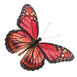 Imagen PNG para descargar